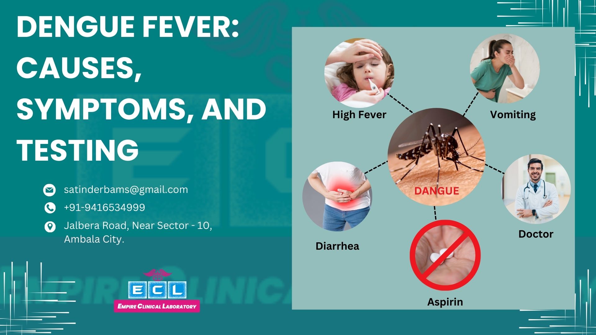 dengue-fever-causes-symptoms-and-testing