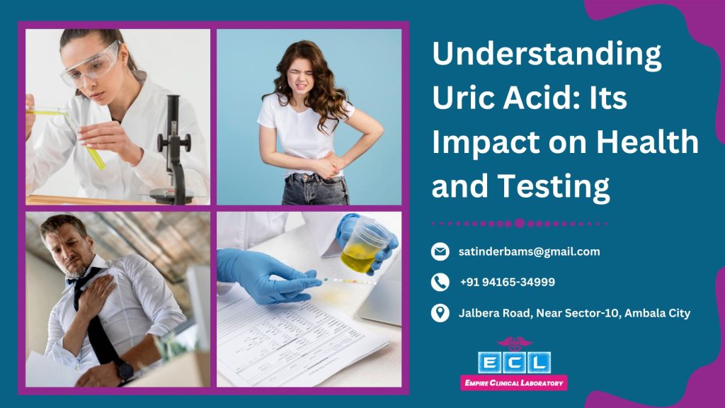 understanding-uric-acid-its-impact-on-health-and-testing