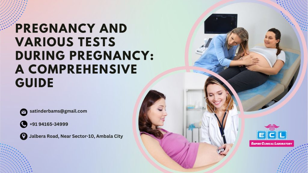 pregnancy-and-various-tests