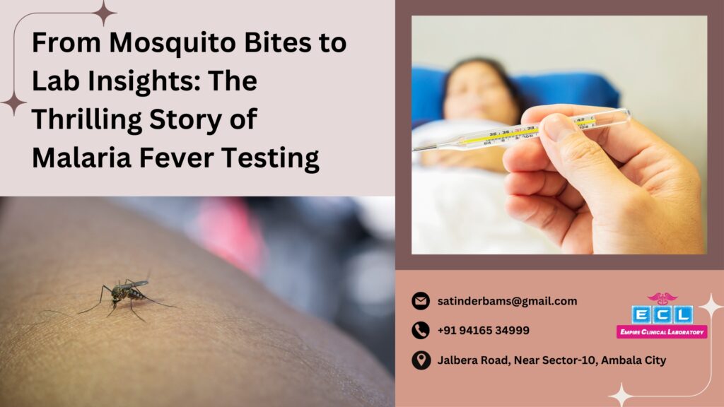 from-mosquito-bites-to-lab-insights-the-thrilling-story-of-malaria-fever-testing
